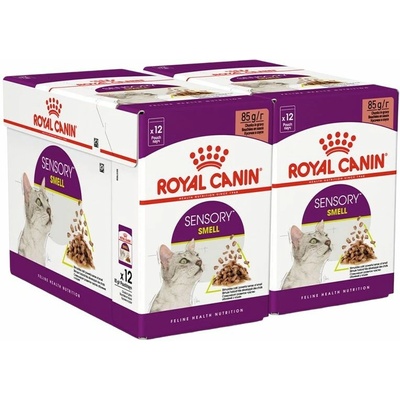 Royal Canin FHN Sensory Smell Gravy 24 x 85 g