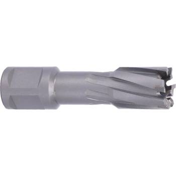 !!!! ABSE N-CA-W19-0190035