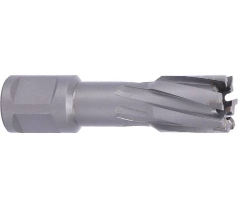 ABSE N-CA-W19-0190035