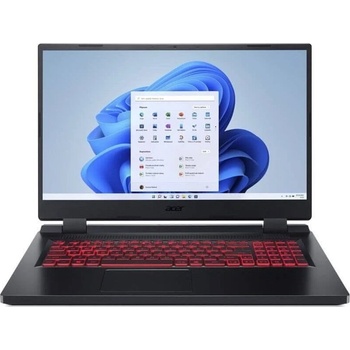 Acer Nitro 5 NH.QL9EC.004