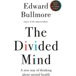 The Divided Mind (ISBN: 9781915780478)