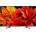 Sony Bravia KD-43XG8396