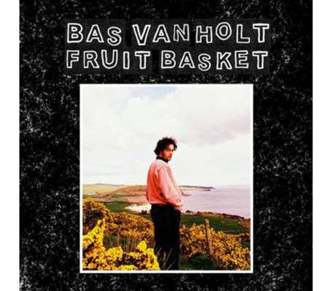FRUIT BASKET Vinyl