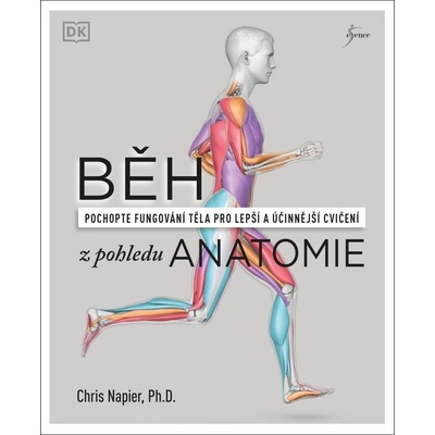 Běh z pohledu anatomie - Správná technika, prevence před zraněním, nastavení tréninku - Chris Napier