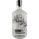 Rammstein Gin 40% 0,7 l (čistá fľaša)