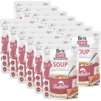 Brit Care Cat Soup с сьомга 15 x 75 г