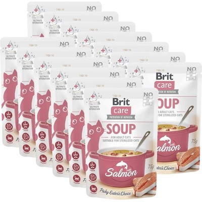 Brit Care Cat Soup с сьомга 15 x 75 г