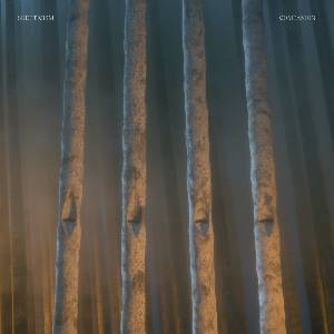 Mystic Production Skepticism: Companion - CD (050920)