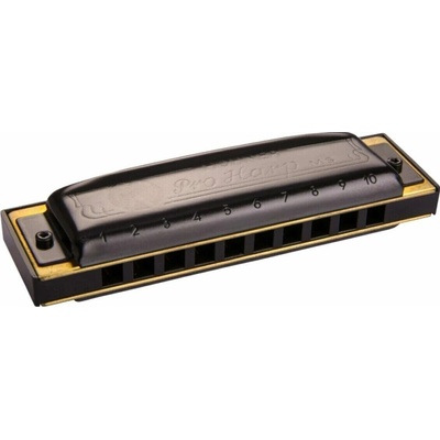 Hohner Pro Harp MS G