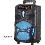 Foxgood NDR-P55 Портативна тонколона