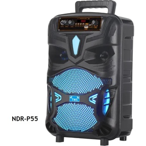 Foxgood NDR-P55 Портативна тонколона