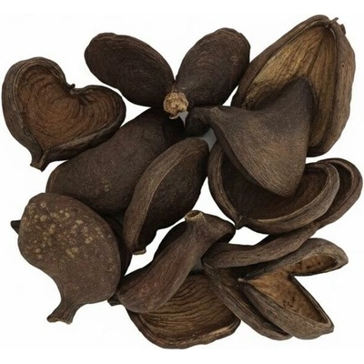 3396 Badam 10-13cm natur 12ks