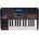 Akai MPK 225