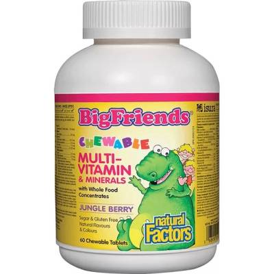 Natural Factors BigFriends Multi-Vitamin & Minerals, 60 дъвчащи таблетки, Natural Factors