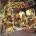 Municipal Waste - The Fatal Feast (Gold Coloured) (LP) (0727361406325)