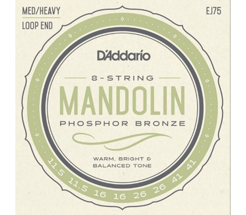 D'addario J75