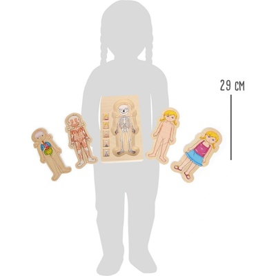 RaKonrad Puzzle Anatómia