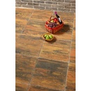 Best Chodníková Standard 50 x 50 x 5 cm přírodní beton 1 m²