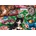 Bluebird Puzzle - Puzzle Puzzle Cats 1000 - 1 000 piese
