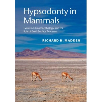 Hypsodonty in Mammals | Richard H. Madden