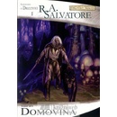 Forgotten Realms - Temný elf 1: Domovina - R. A. Salvatore