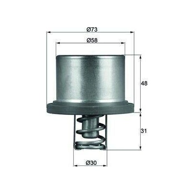 Termostat, chladivo MAHLE THD 2 89 (THD289)