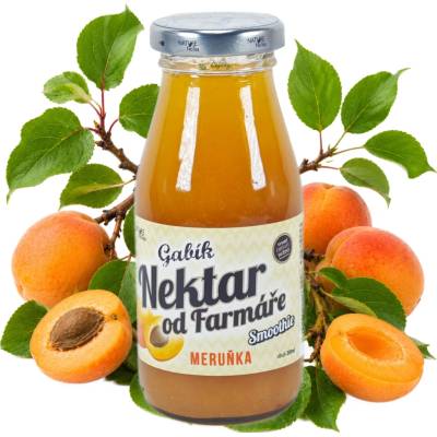 Gabík Nápoj od farmára Marhuľa 200 ml