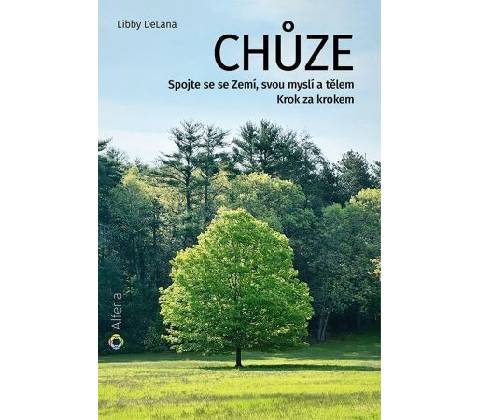 Chůze
