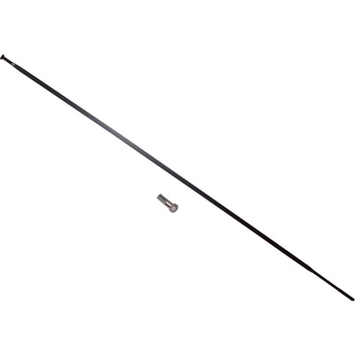 Drôt DT SWISS Aero Comp Straight Pull 246mm