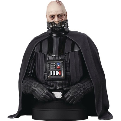 Gentle Giant Star Wars Episode VI Bust Darth Vader unhelmeted 15 cm