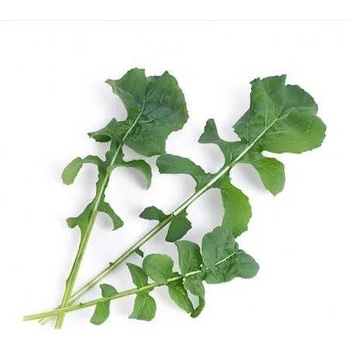 VÉritable (Франция) Пълнител (лингот) Arugula Organic за настолна градина Véritable® - рукола (VLIN-J10-Roq02E)