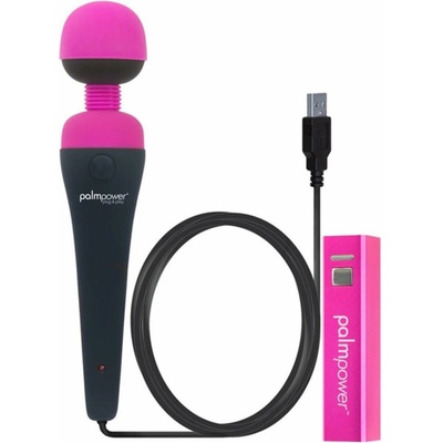 PalmPower wand USB massager with powerbank