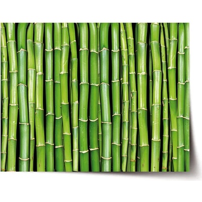 Sablio Plagát Bambus - 90x60 cm
