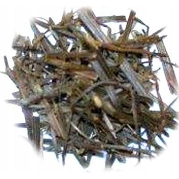 Salvia Paradise Šišiak fúzatý vňať 1 kg