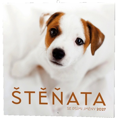 Štěňata nástěnný 2027