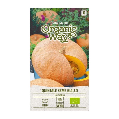 Seklos Органик Тиква Кинтале Семе Джиало Cucurbita maxima