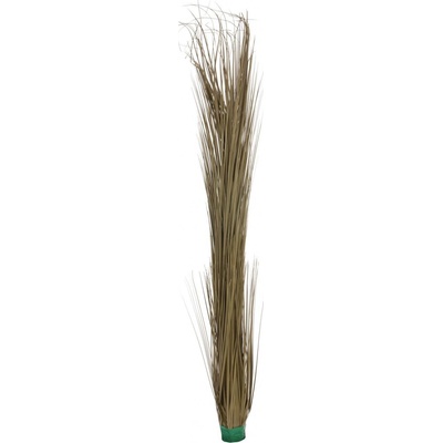 Zblochan vodní, tmavě hnědý, 127 cm