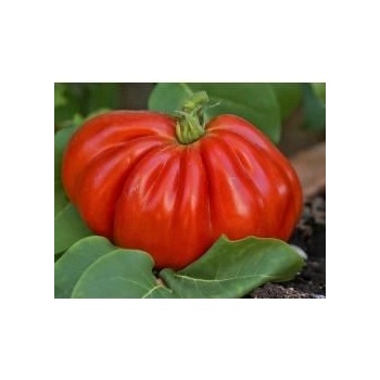 Семена от домати сорт "Биволско сърце" (Heart of the Bull / Ox Heart / Cuor di Bue / Coeur de Boeuf) 25 бр (295440)