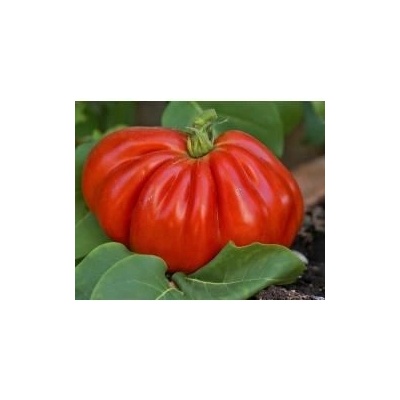 Семена от домати сорт "Биволско сърце" (Heart of the Bull / Ox Heart / Cuor di Bue / Coeur de Boeuf) 25 бр (295440)