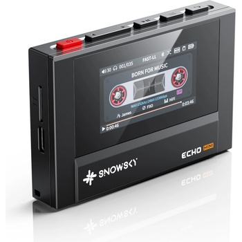 FiiO SNOWSKY Echo Mini