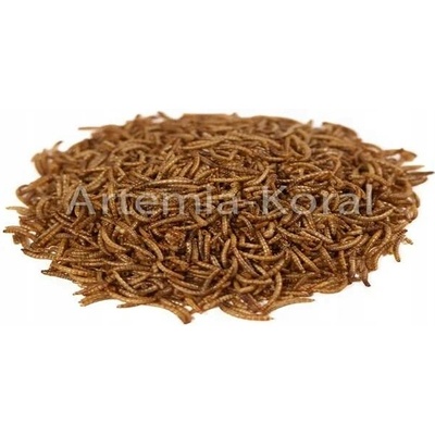 UGF sušený moučný červ 1 kg