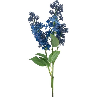 Šeřík - Syringa 'Cork' modrá V88 cm