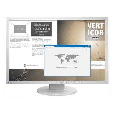 LCD EIZO EV2430-GY (EV2430-GY)