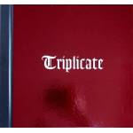 Bob Dylan - Triplicate (Deluxe Edition) (3 LP) (0889854135119)