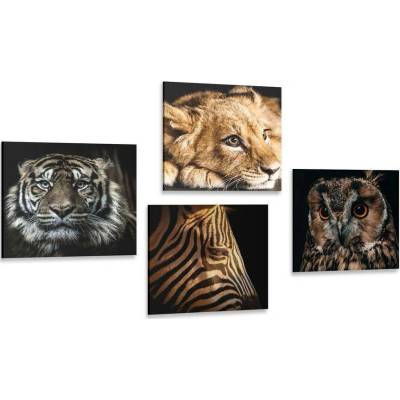 Set obrazů divoká zvířata - 4x 60x60