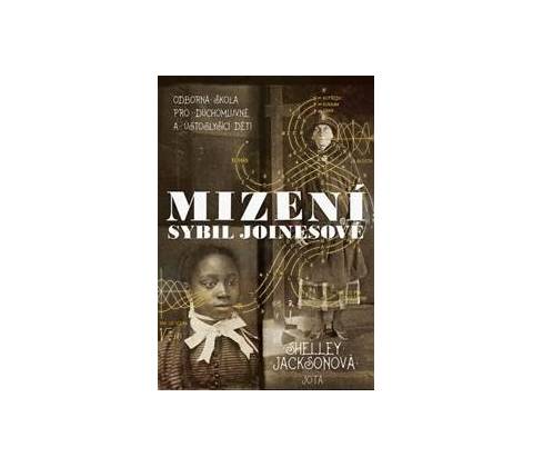 Mizení Sybil Joinesové