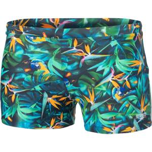 Speedo Бански escape (8-13451g676)