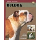 Buldok