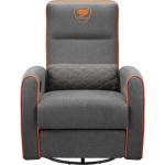 COUGAR Fidom Gray (CGR-FDF-GRO)