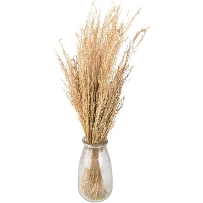 Dekorace béžová sušená květina - 60 cm (100 gr) - Clayre & Eef